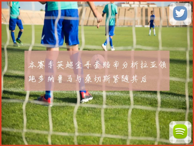 本赛季英超金手套赔率分析拉亚领跑多纳鲁马与桑切斯紧随其后
