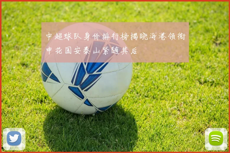 中超球队身价排行榜揭晓海港领衔申花国安泰山紧随其后