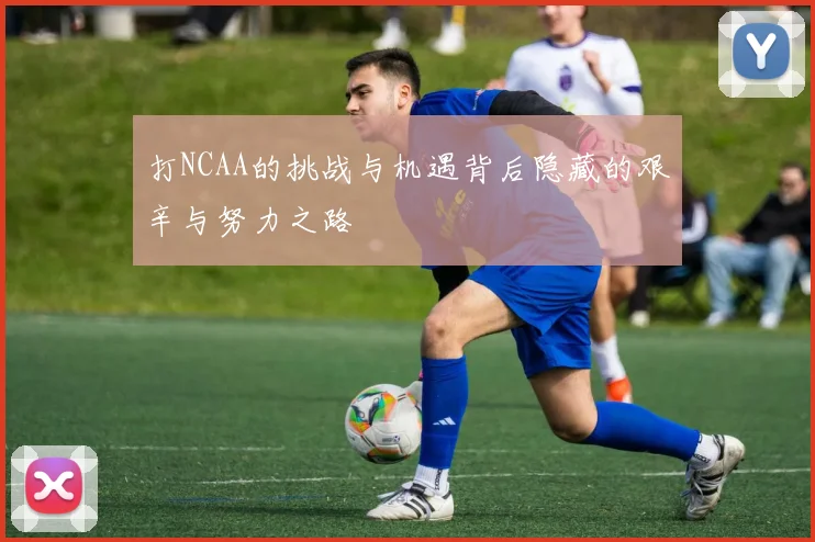 打NCAA的挑战与机遇背后隐藏的艰辛与努力之路