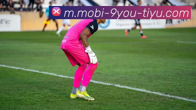 App Interface Preview