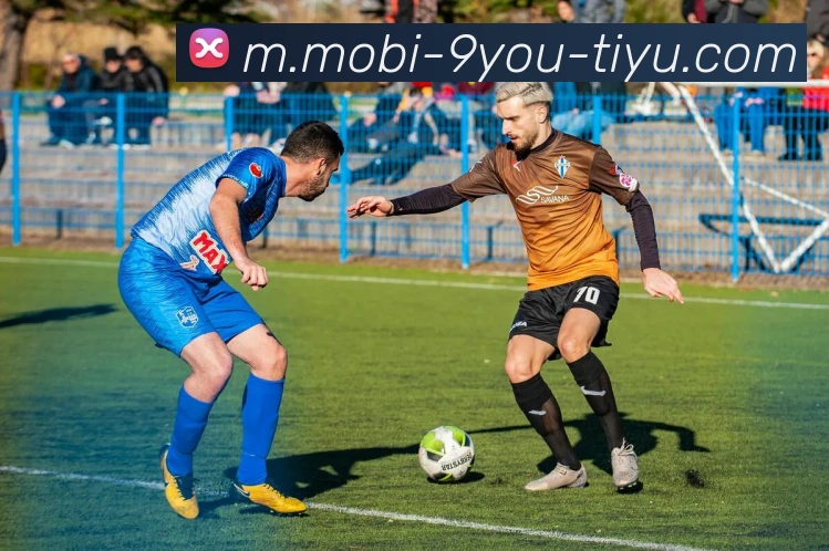 九游娱乐APP 封面图